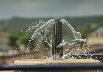 Cum să implementezi irigația prin picurare