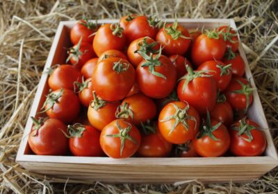 Cum să folosești materia organică pentru fertilizare