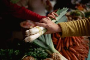Photo cultivate vegetables
