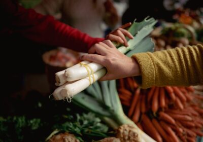 Cum să cultivi legume în paturi ridicate