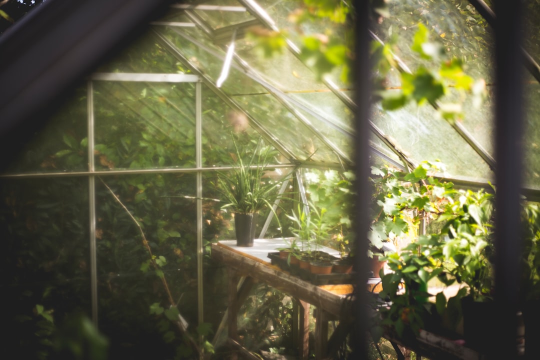 Photo greenhouse