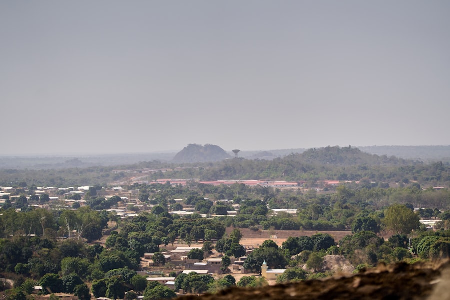 Photo local agriculture