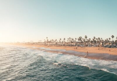 Cum să creezi un microclimat favorabil culturilor