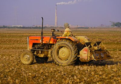 Impactul subvențiilor agricole asupra agriculturii