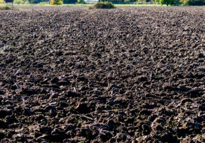 Importanța analizelor de sol înainte de însămânțare