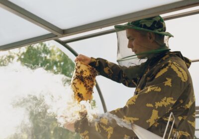 Metode naturale de combatere a dăunătorilor agricoli