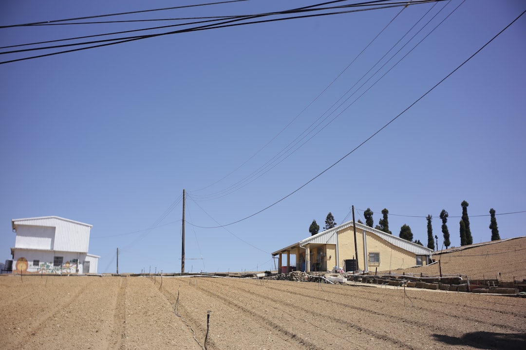 Photo irrigation system