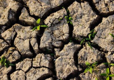 Tehnici de conservare a apei în sol în perioadele secetoase