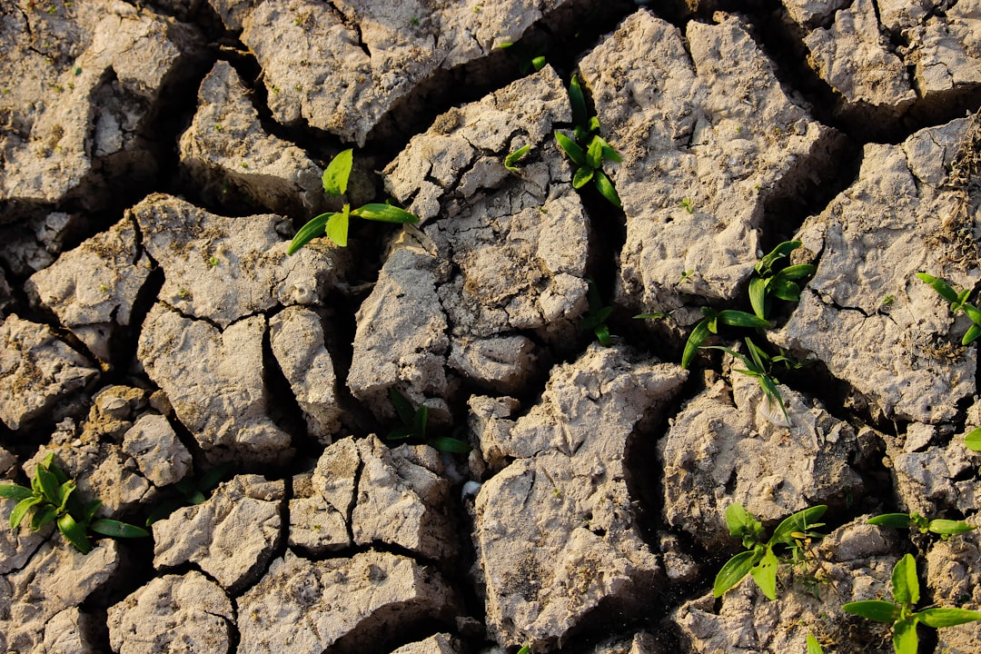 Photo conservation of water in soil