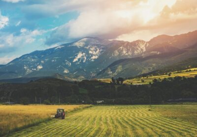Impactul schimbărilor climatice asupra calendarului agricol