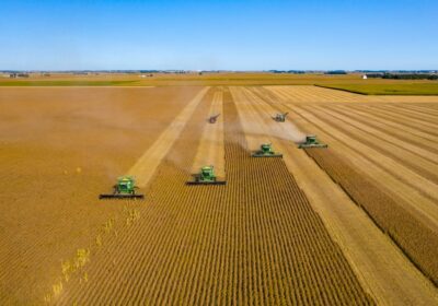 Importanța asigurărilor agricole în protejarea investițiilor