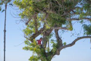 Photo pruning techniques