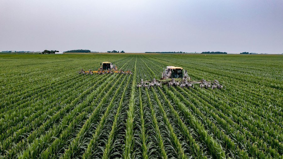 modern agricultural practices