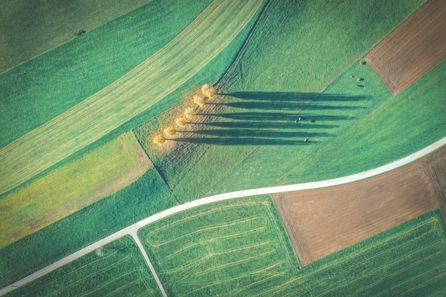 crop rotation