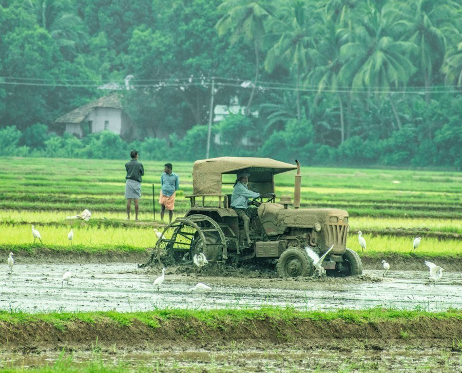 climate change impacts farmers