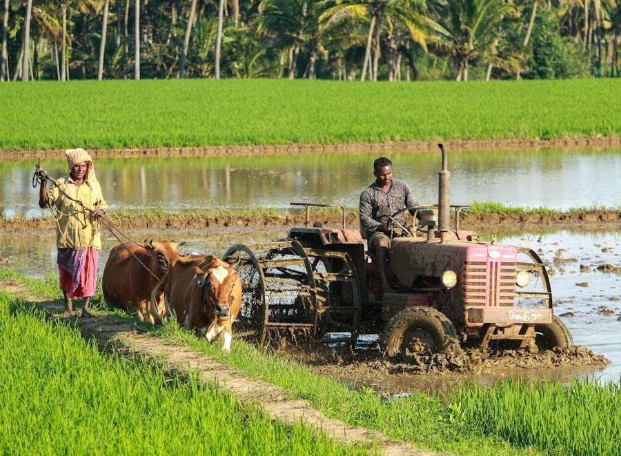 soil quality agricultural production long-term