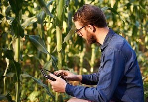 Smart,,Farm,And,Man,In,Field,With,Tablet,For,Eco