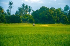 Photo soil quality agricultural production long-term