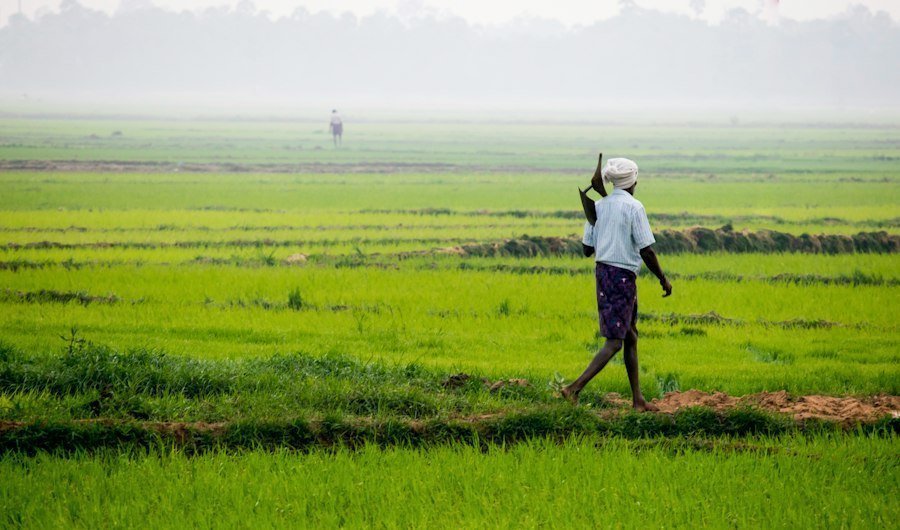 Photo soil quality agricultural production long-term