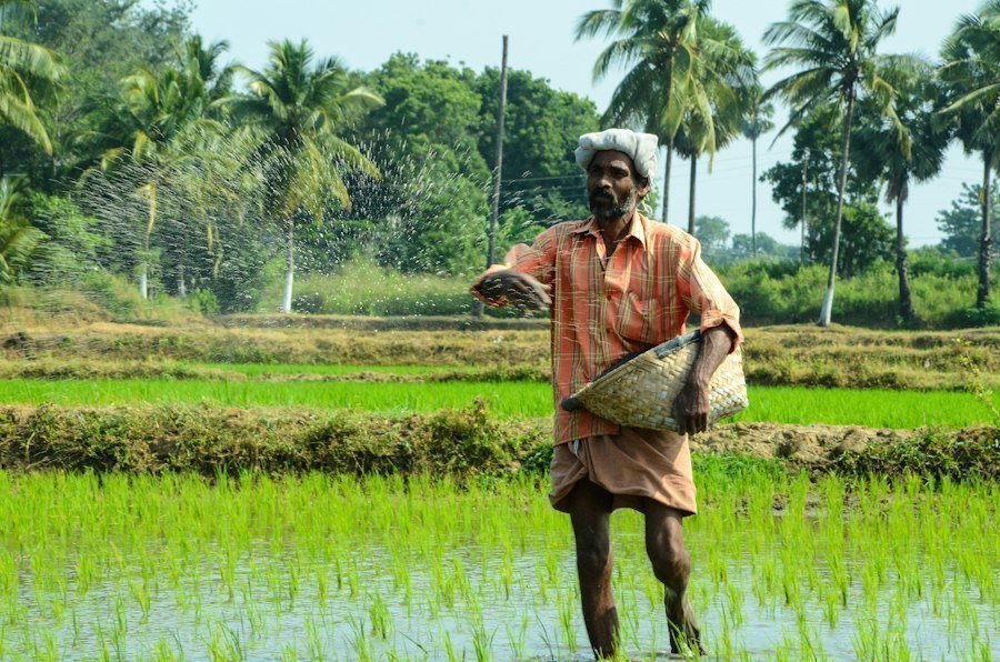 Photo modern agricultural practices