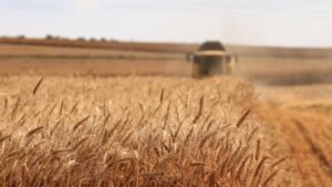 Photo agricultural planning