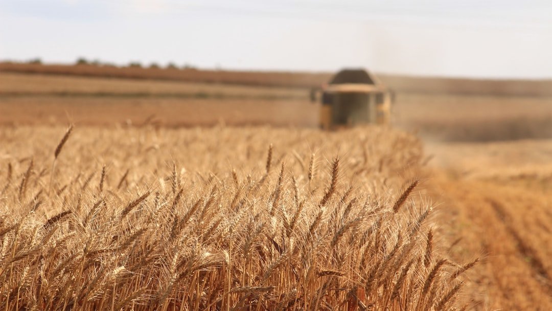Photo agricultural planning