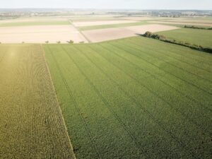 Photo crop rotation