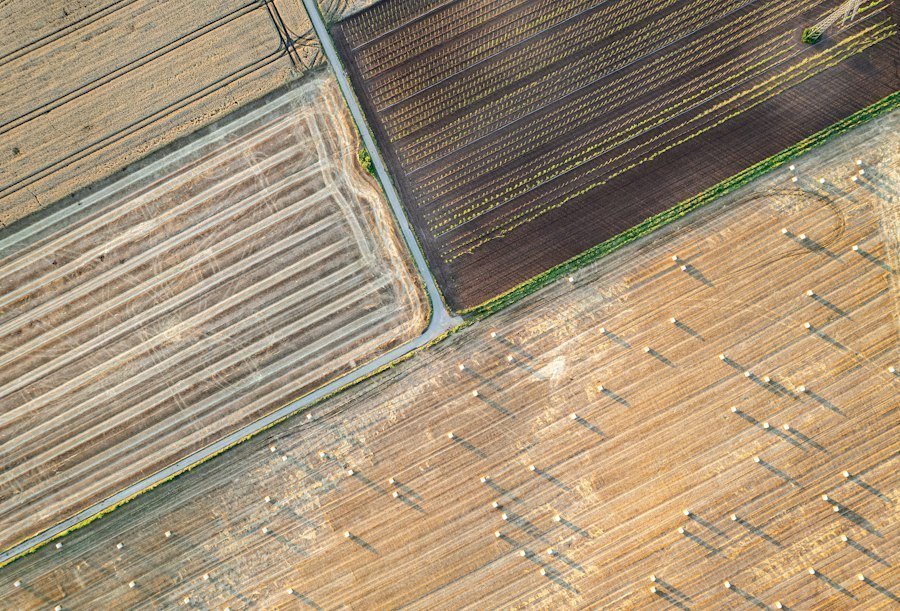 Photo crop rotation