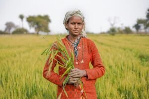 Photo climate change impacts farmers