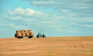 Photo agriculture