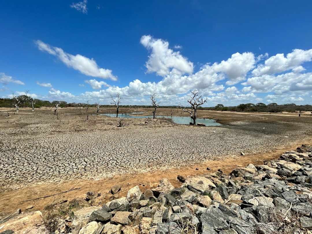 Photo drought