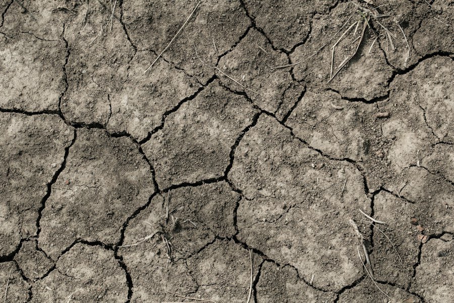 Photo drought
