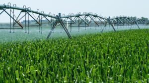 Photo precision agriculture