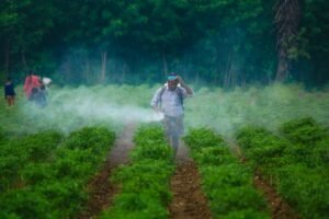 Photo biopesticides