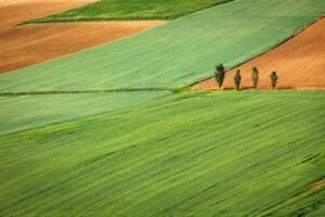Photo agricultura ecologică