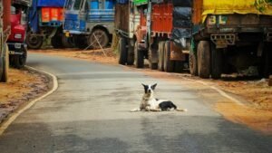 Photo rural infrastructure