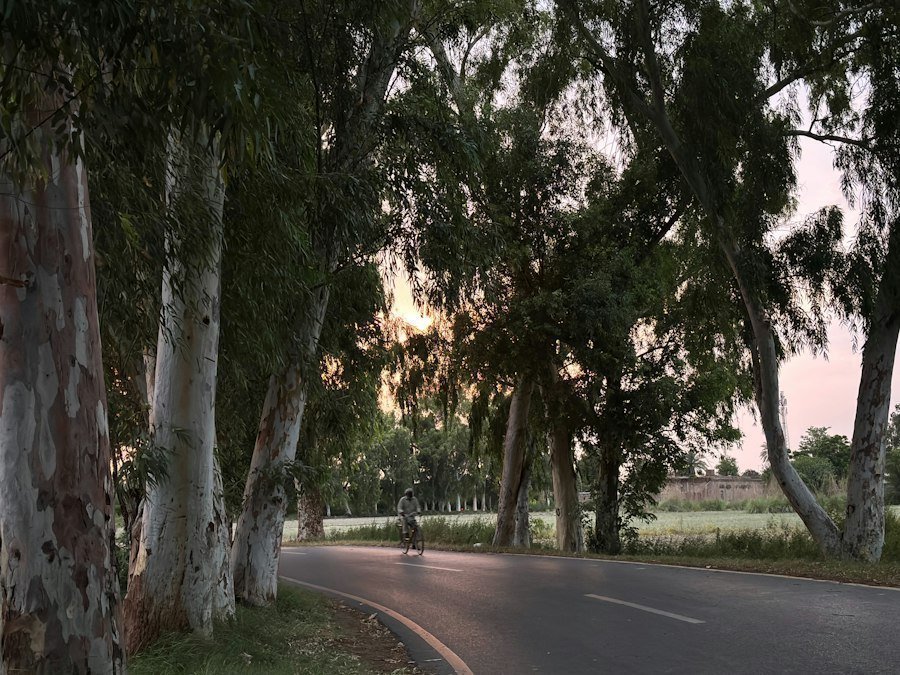 Photo rural infrastructure