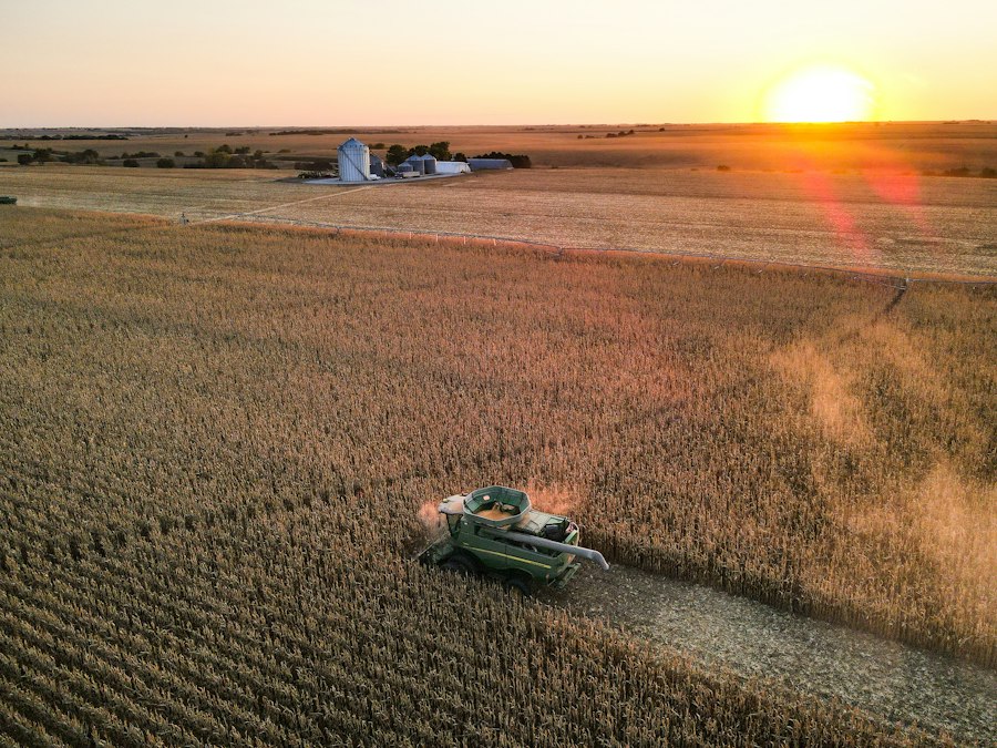 Photo cereal crop farming overview