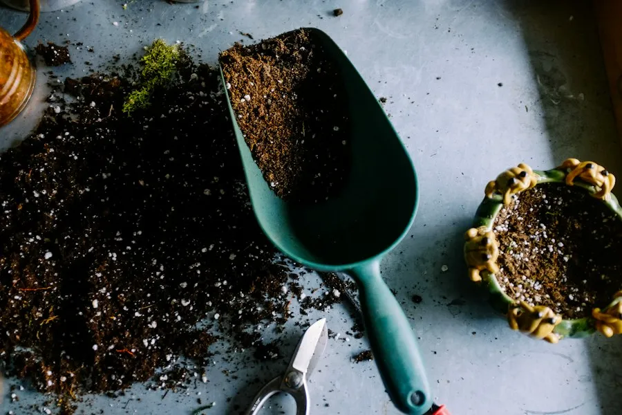 soil fertilization guide