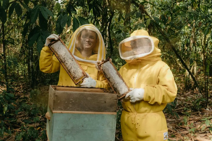 Photo beekeeping basics guide