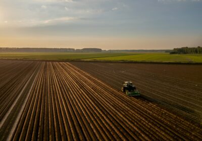 Ghid complet despre agricultura modernă: ce spun specialiștii și datele recente