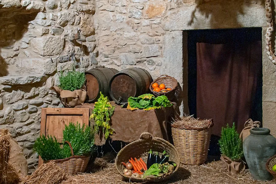 Photo harvest storage techniques