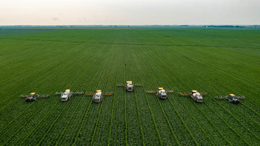 common agricultural subsidy mistakes