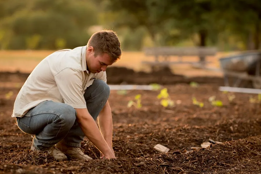 Photo soil fertilization mistakes