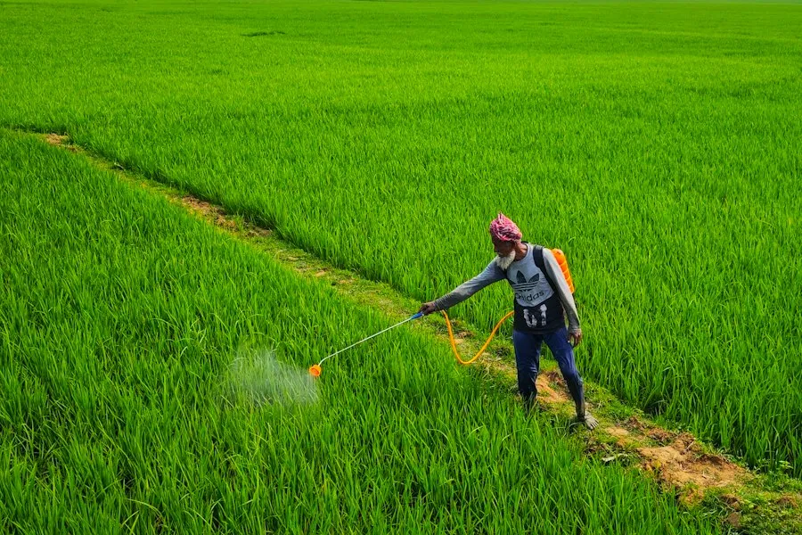 Photo crop protection mistakes