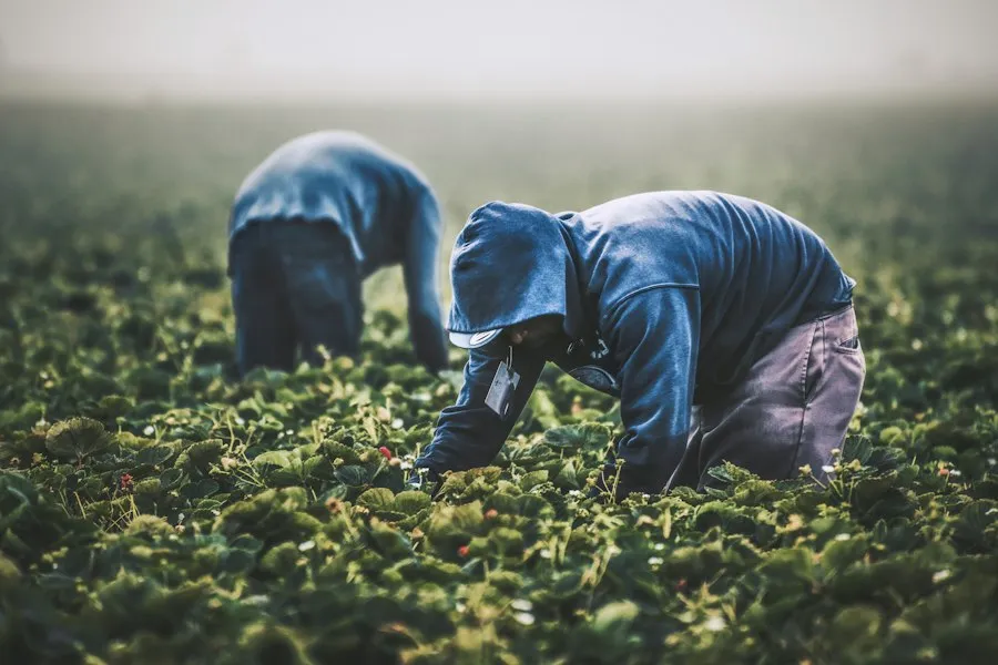crop protection mistakes
